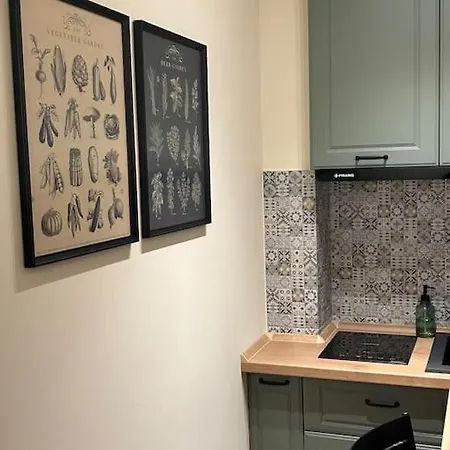 Alea Art Museum קריובה