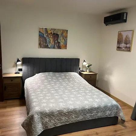 Alea Art Museum קריובה