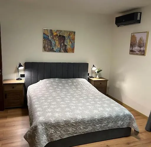 Alea Art Museum Craiova