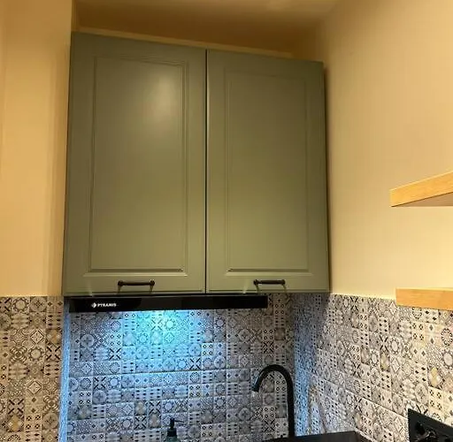 Alea Art Museum Apartment Craiova